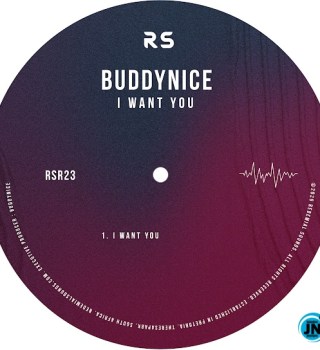 Buddynice – I Want You ft. Nkosinathi Phakathi