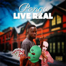 Ponga – Live real
